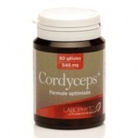 Armoise 200 Gélules 