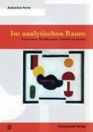 Im Analytischen Raum