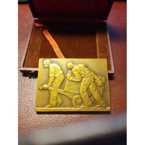 Médaille Plaquette En Bronze 72mm/53mm