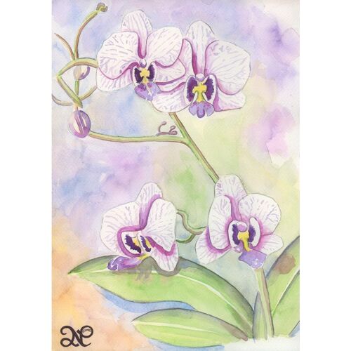 Aquarelle Originale Fleurs D'orchidée Orchid Flowers Watercolor Single Nm48