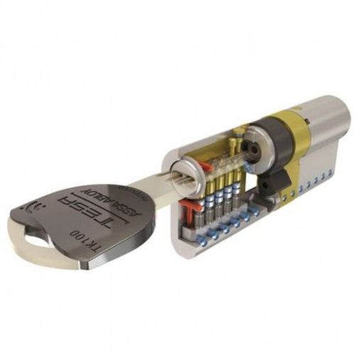 Cylindre Tesa seguridad Tk1 30x30 Latoné