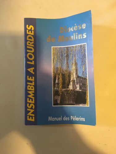 Ensemble À Lourdes Manuel Des Pèlerins Diocèse De Moulins