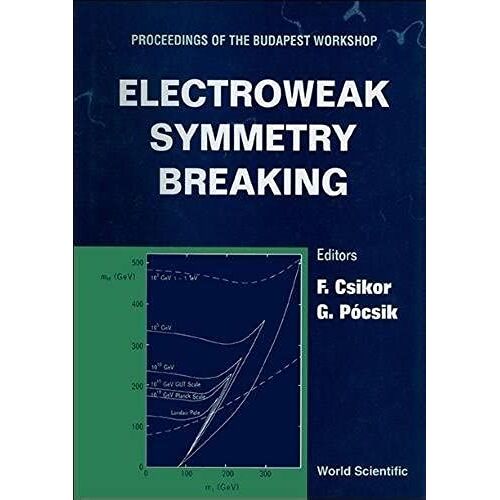 Electroweak Symmetry Breaking - Proceedings Of The Budapest Workshop