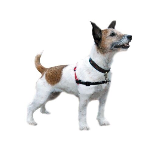 Harnais Anti-Traction Noir T.S Chien