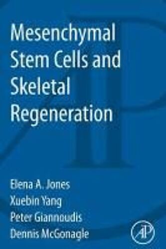 Mesenchymal Stem Cells And Skeletal Regeneration
