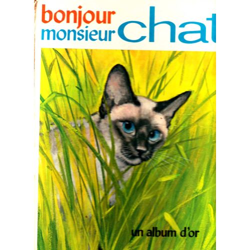 Bonjour, Monsieur Chat