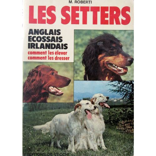 Les Setters Anglais-Écossais-Irlandais