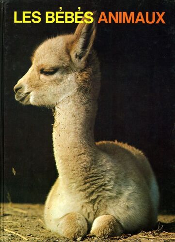 Les Bébés Animaux