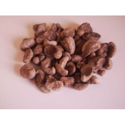 Lot De 1,800 Kg De Fossiles Gryphea Arcuata Pour Debut Collection