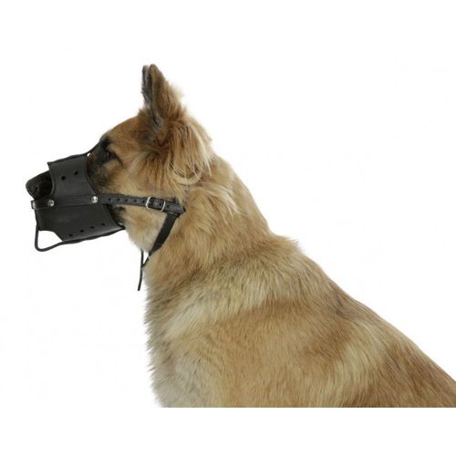 Muselière Cuir Pour Chien 38 Cm Tour De Museau.