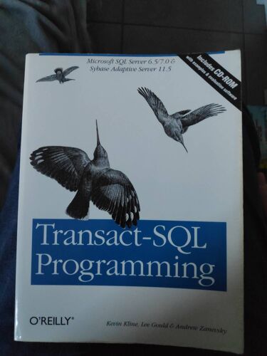 Transact-Sql Programming