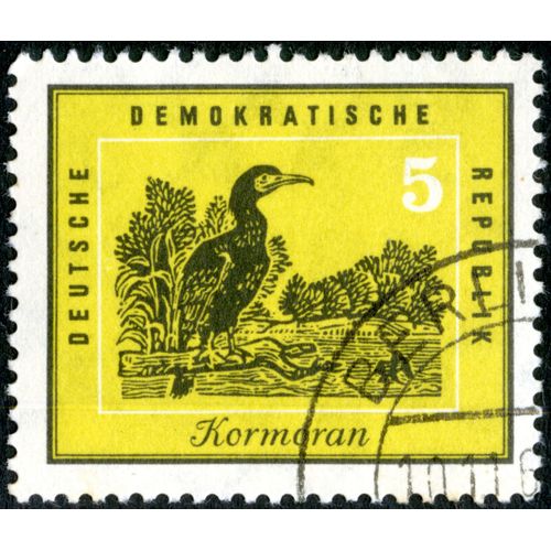 Timbre Oblitéré Deutsche Demokratische Republik, Kormoran, 5
