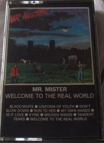Mr Mister K7 Audio Welcome To The Real World