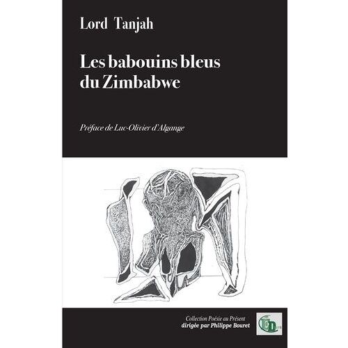 Les Babouins Bleus Du Zimbabwe