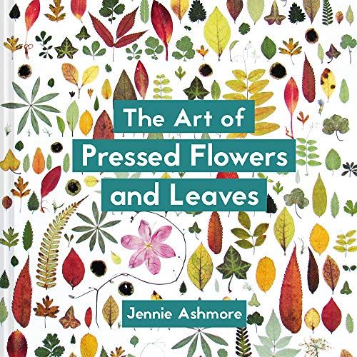 The Art Of Pressed Flowers And Leaves