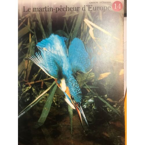 Depliant N.14 Le Martin Pecheur D Europe - Groupe 3 Les Oiseaux - A La Decouverte Du Monde Sauvage - Les Editions Imp Bv - 24,5x18,5 Cm