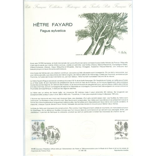 France 1985 - Document Philatélique - Hêtre Fayard - 30-85