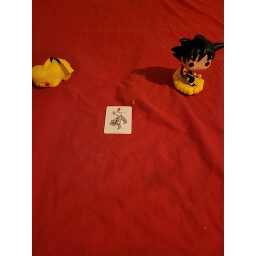 Broche Chat New Fashion 4 Cm