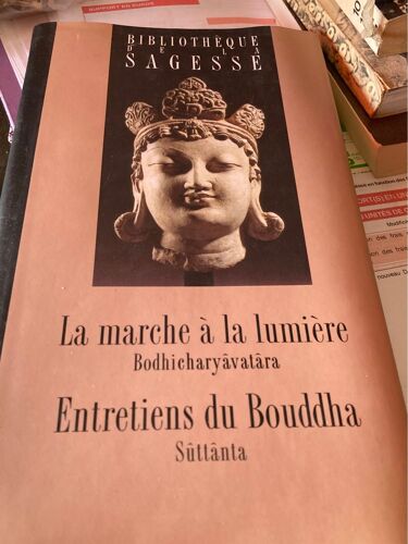 La Marche À La Lumière 