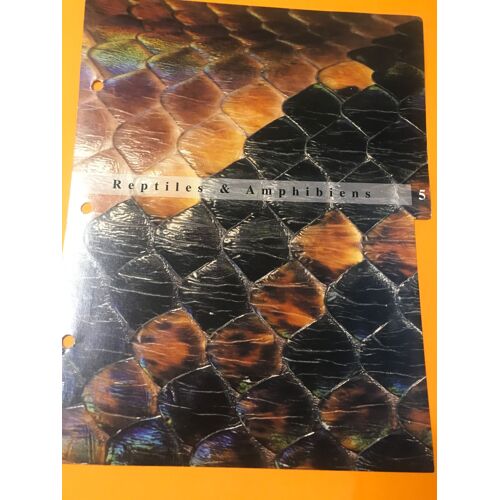 Fiche Intercalaire Groupe 5 Les Reptiles Et Amphibiens - A La Decouverte Du Monde Sauvage - Les Éditions Imp Bv - 24,5x18,5 Cm