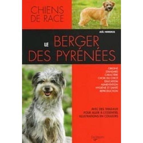 Le Berger Des Pyrénées