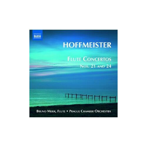 Concertos Pour Flûte Vol. 1