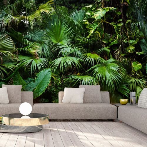 Papier peint - Sunny Jungle -
