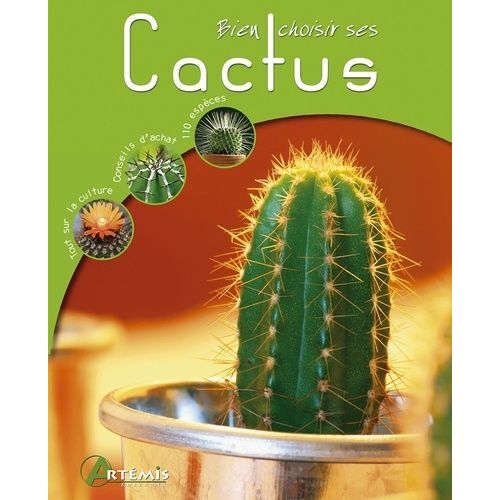 Bien Choisir Ses Cactus
