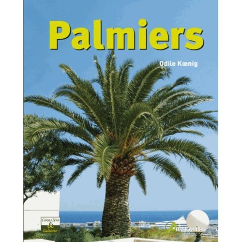 Palmiers