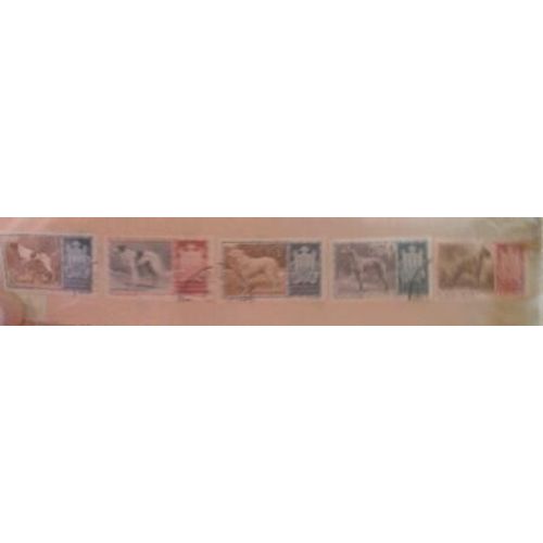 1 Lot 5 Timbres Republica Di San Marino Chiens