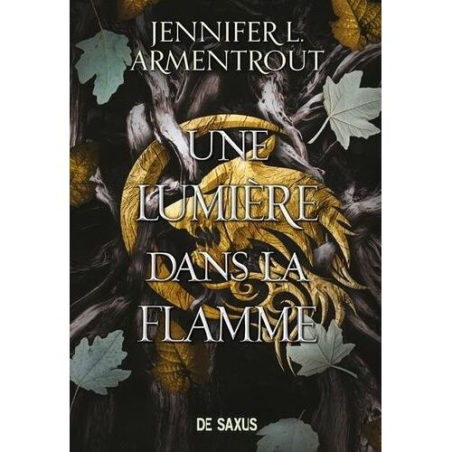 Une Lumière Dans La Flamme - Tome 2 - La Chair Et Le Feu