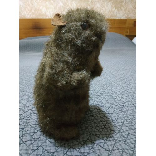 Peluche Marmotte