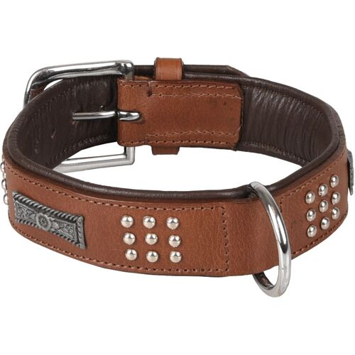 Flamingo Pet Products Collier Cuir Sedona Brun. Taille M 34-40 Cm. Pour Chien.