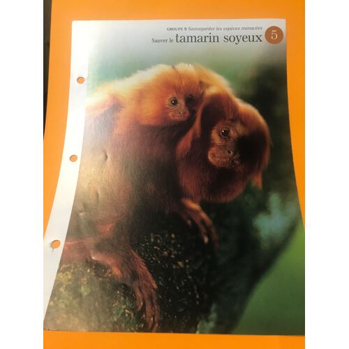Depliant N.5 Sauver Le Tamarin Soyeux - Groupe 9 Sauvegarder Les Especes Menacees - A La Decouverte Du Monde Sauvage - Les Éditions Imp Bv - 24,5x18,5 Cm