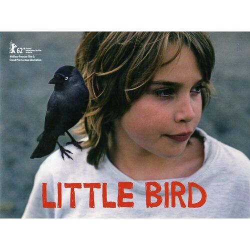 Little Bird, Dossier De Presse, De Boudewijn Koole, Avec Rick Lens, Ricky Koole, Loek Peters