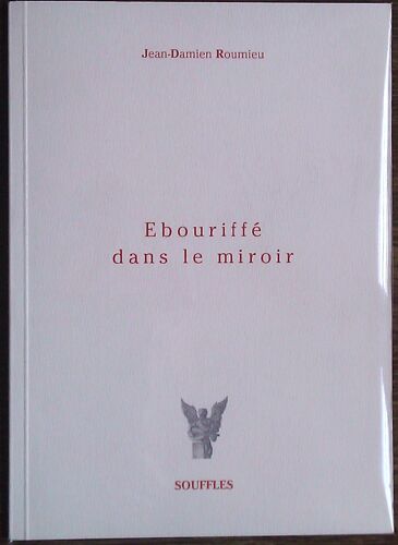 Jean Damien Roumieu: Ebouriffé Dans Le Miroir.(Grand Prix De Poésie)