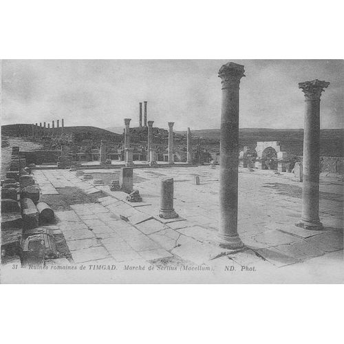 Cpa Timgad Marché De Sertius