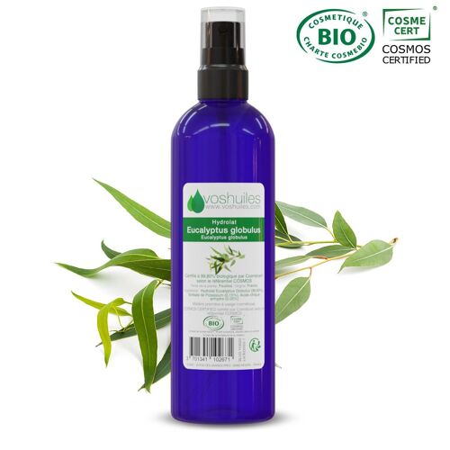 Hydrolat D'eucalyptus Globulus Cosmos - 100ml 