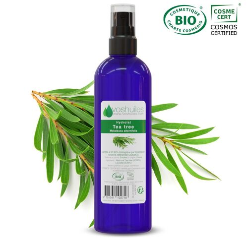 Hydrolat De Tea Tree Cosmos - 100ml 