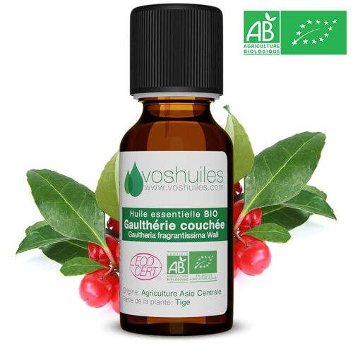 Huile Essentielle Bio De Gaulthérie Couchée - 10ml 