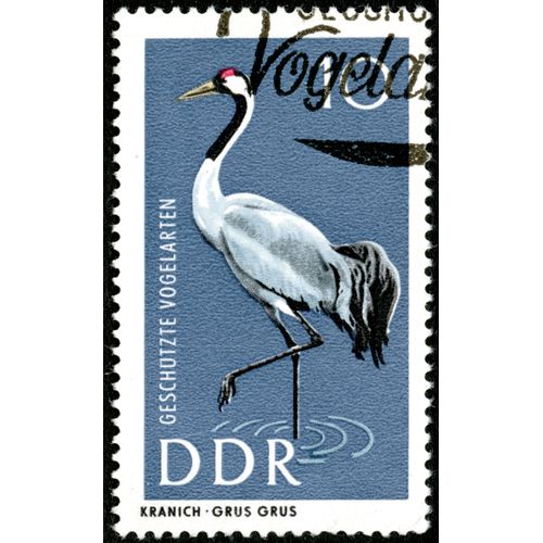 Timbre Oblitéré Ddr, Geschutzte Vogelarten, 10