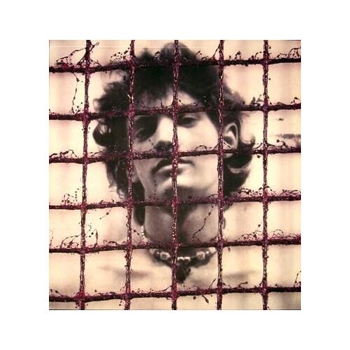 Altars / Mapplethorpe ; Essay By Edmund White