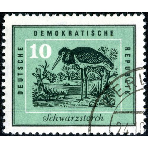 Timbre Oblitéré Deutsche Demokratische Republik, Schwarzstorch, 10
