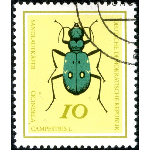 Timbre Oblitéré Deutsche Demokratische Republik, Sandlaufkafer Cicindela Campestris L, 10