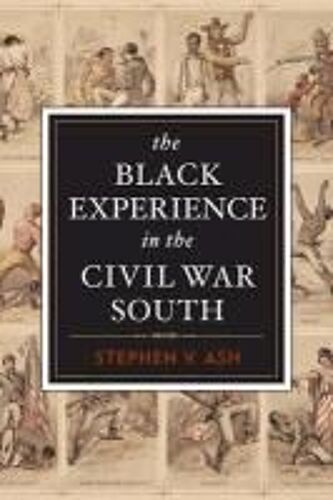 The Black Experience In The Civil War South