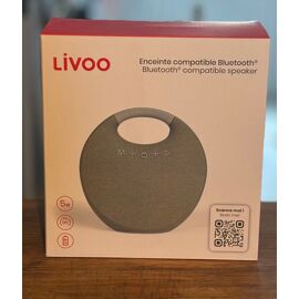 Enceinte Bluetooth 