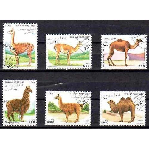 Animaux Camélidés Afghanistan Série Compléte (42) De 6 Timbres Oblitérés