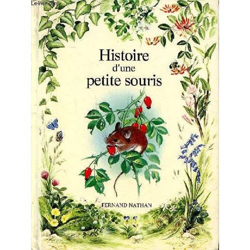 Histoire D Une Petirte Souris