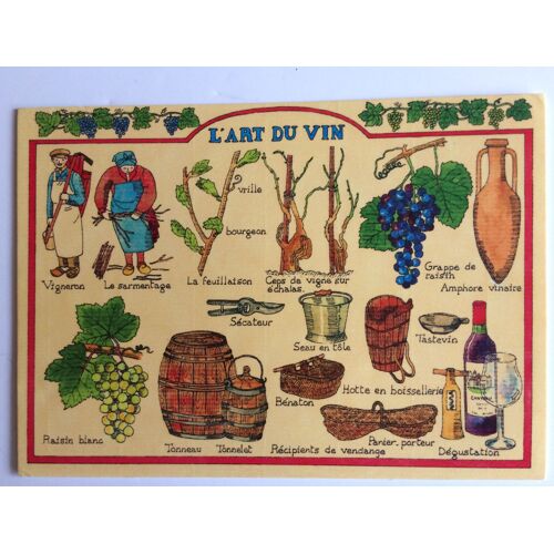 Carte Postale "L'art Du Vin"