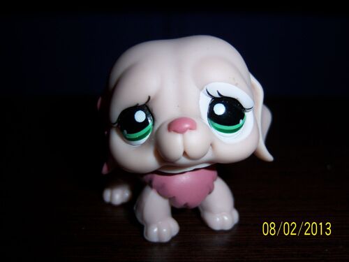 Petshop Chien St Bernard N°1040